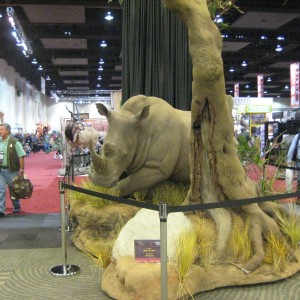 Taxidermy at Safari Club International Convention