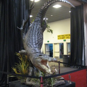 Taxidermy at Safari Club International Convention