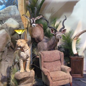 Taxidermy at Safari Club International Convention