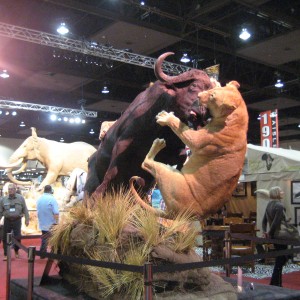 Taxidermy at Safari Club International Convention