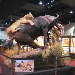 Taxidermy at Safari Club International Convention