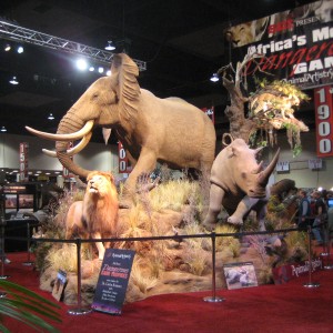 Taxidermy at Safari Club International Convention