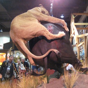 Taxidermy at Safari Club International Convention