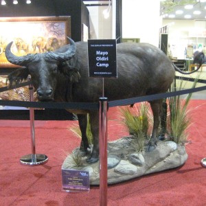 Taxidermy at Safari Club International Convention