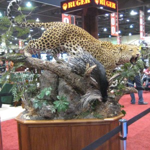 Taxidermy at Safari Club International Convention