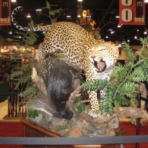 Taxidermy at Safari Club International Convention