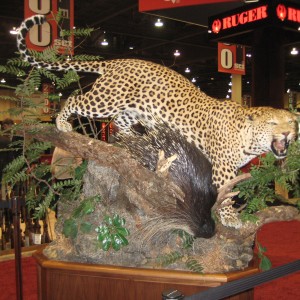 Taxidermy at Safari Club International Convention