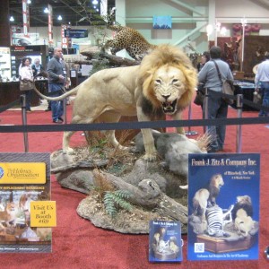 Taxidermy at Safari Club International Convention