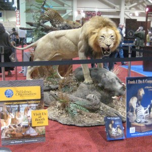 Taxidermy at Safari Club International Convention