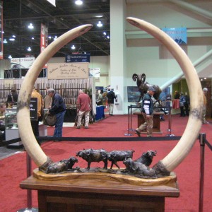 Taxidermy at Safari Club International Convention