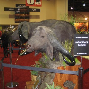 Taxidermy at Safari Club International Convention