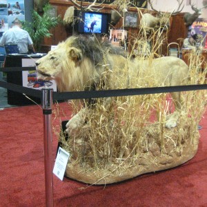 Taxidermy at Safari Club International Convention