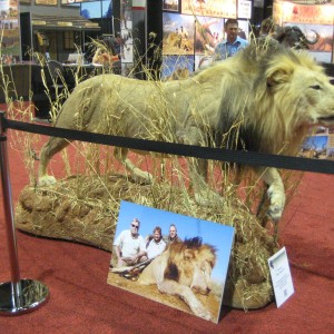 Taxidermy at Safari Club International Convention