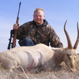 Blesbok