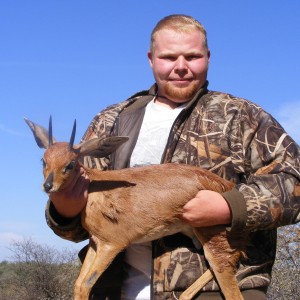 Steenbok