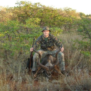 Kudu Bull