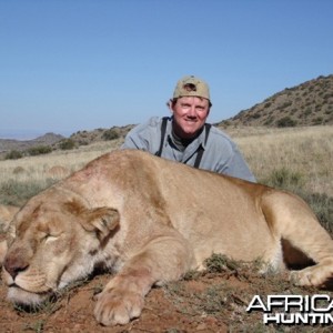 Hunting Lion South Africa