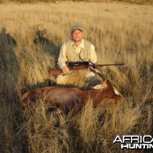 Hunting Blesbok South Africa