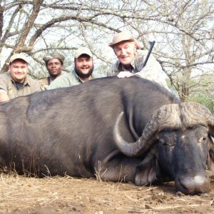 Cape Buffalo Hunting