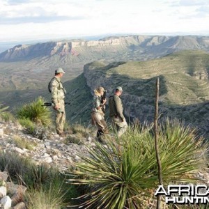 Hunting Desert Bighorn Sheep in Texas