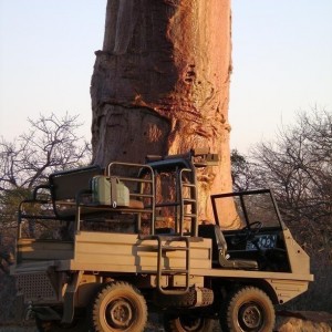 Steyr Puch Haflinger equipped for hunting