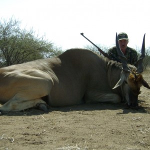 Eland Bull