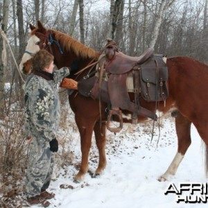 Four footed transportation