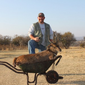 Bushbuck South Africa