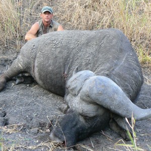 Old Buffalo shot in Tanzania