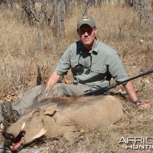 Warthog South Africa