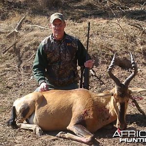 Hartebeest South Africa