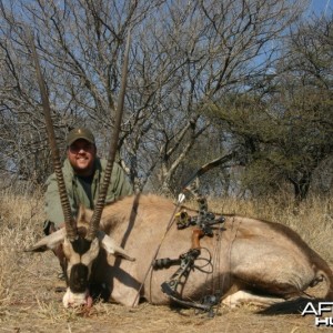 Gemsbok South Africa