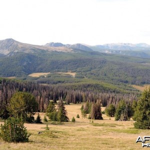 Hunting Big Horn Sheep in Southern British Columbia Canada