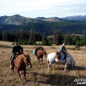 Hunting Big Horn Sheep in Southern British Columbia Canada