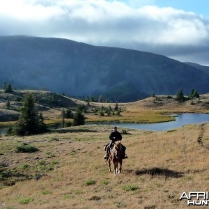 Hunting Big Horn Sheep in Southern British Columbia Canada