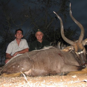 Hunting Nyala 31"