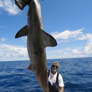 Fishing Hammerhead