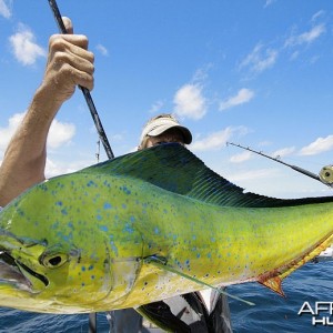 Fishing Monster Mahi