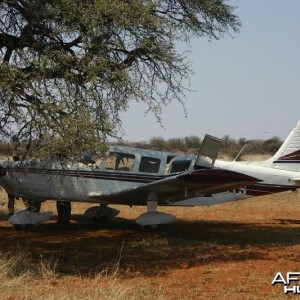 Life on Safari with Spiral Horn Safaris