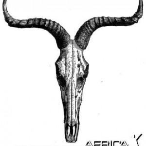 Swayne's Hartebeest