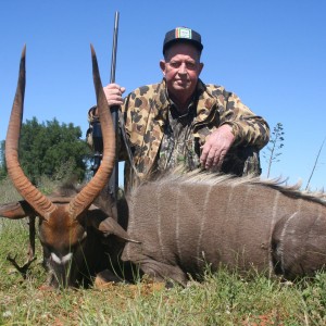 South African Nyala