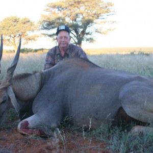 Eland - South Africa