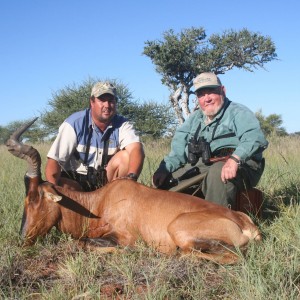 Red Hartebeeste - South Africa