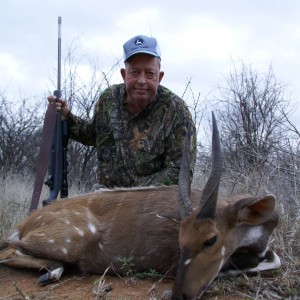 Bushbuck - South Africa