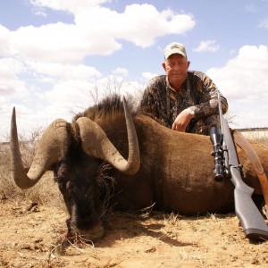 Black Wildebeeste - South Africa