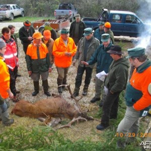 OCT Bavarian cull hunt