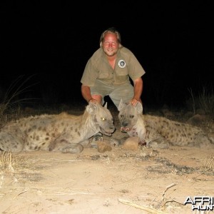 Spotted Hyena Zimbabwe