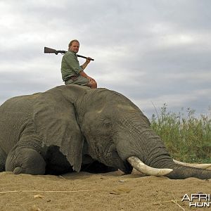 Elephant Zimbabwe