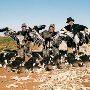 Dryland Waterfowling