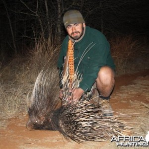 Porcupine